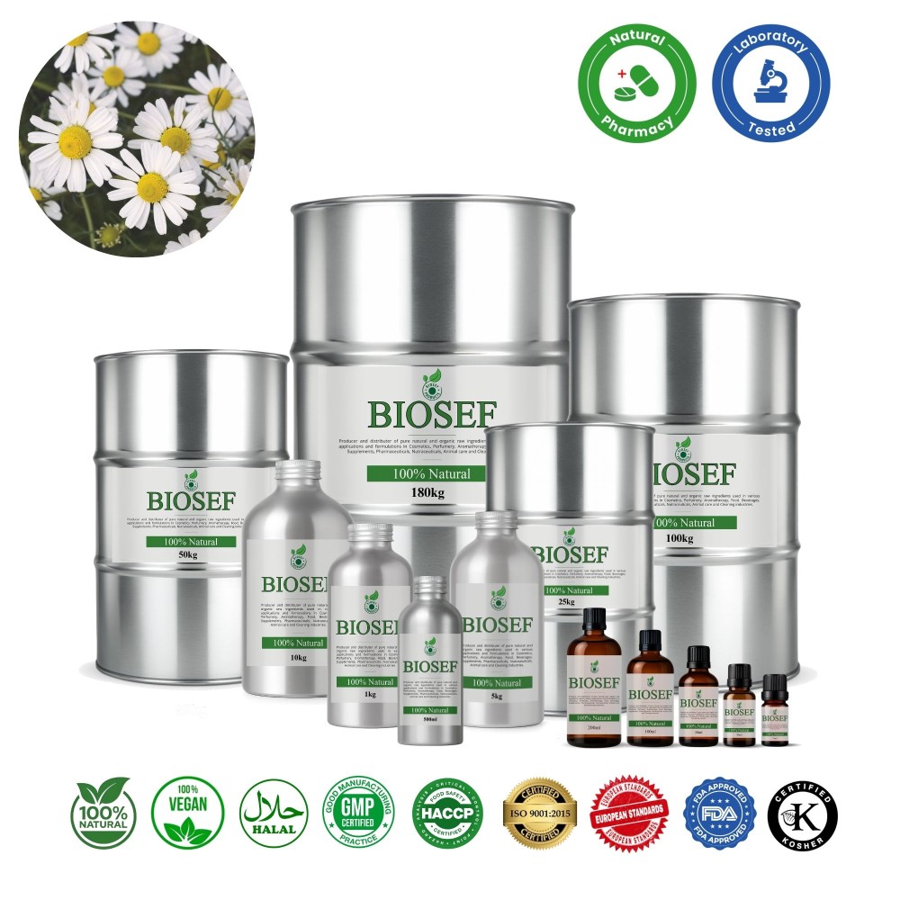 Camomille allemande naturelle huile essentielle pour pharmaceutique | Biosef