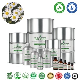 Camomille allemande naturelle huile essentielle pour pharmaceutique | Biosef