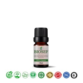 Sesam ( samen ) BIO Unraffiniertes Basisöl für Getränke | Biosef