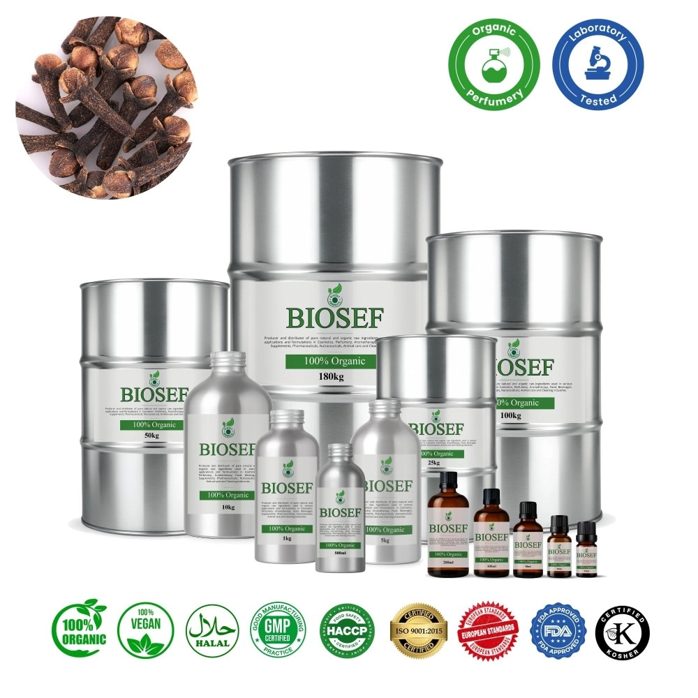Nelken (Knospe) bio ätherisches öl für parfümerie | Biosef