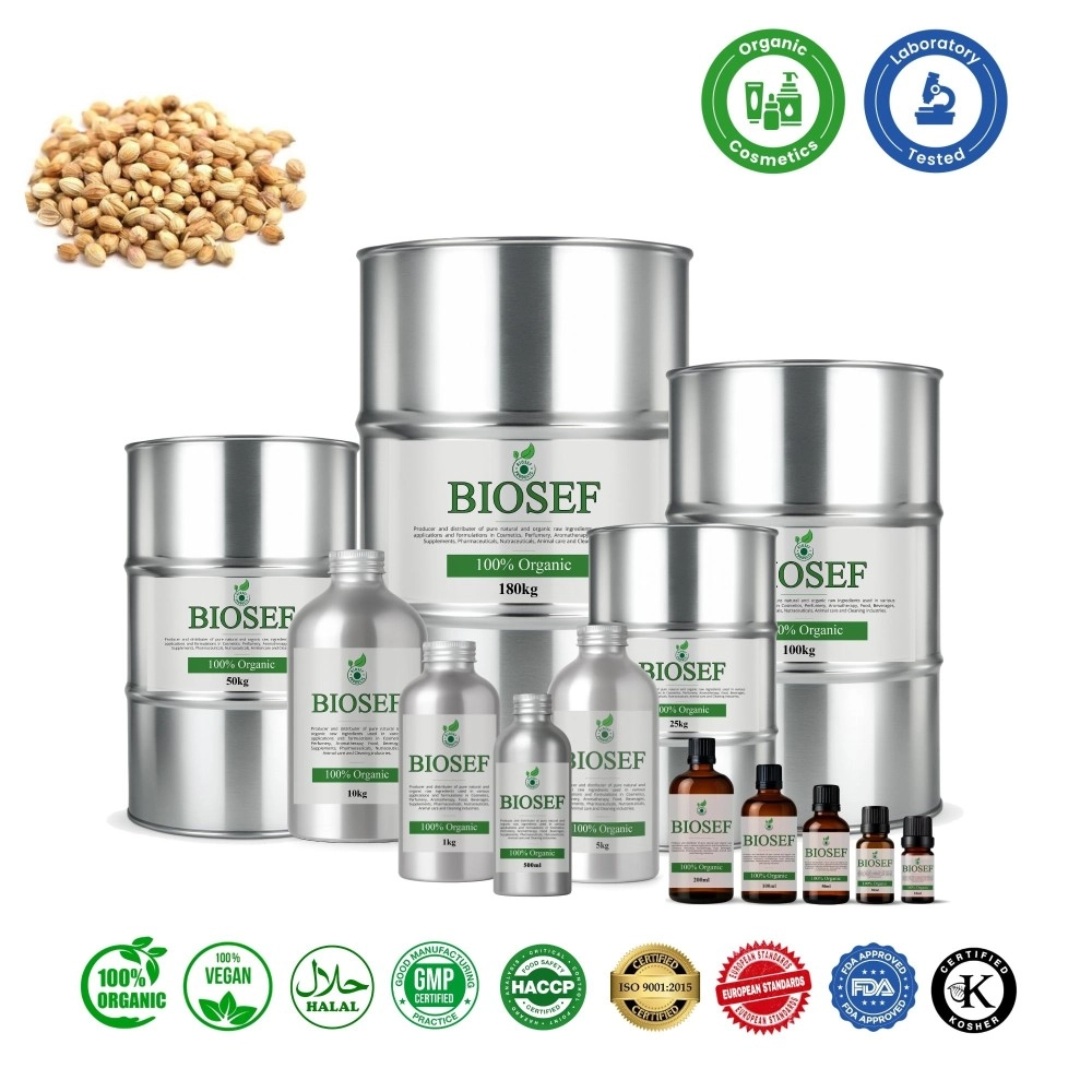 Coriander ( seeds ) organic essential oil for cosmetics