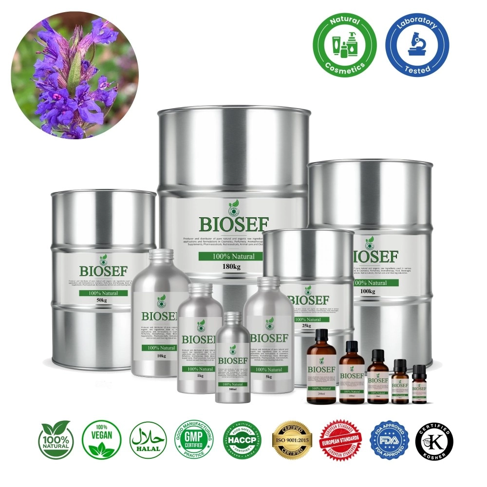 Hisopo natural aceite esencial para cosmética | Biosef