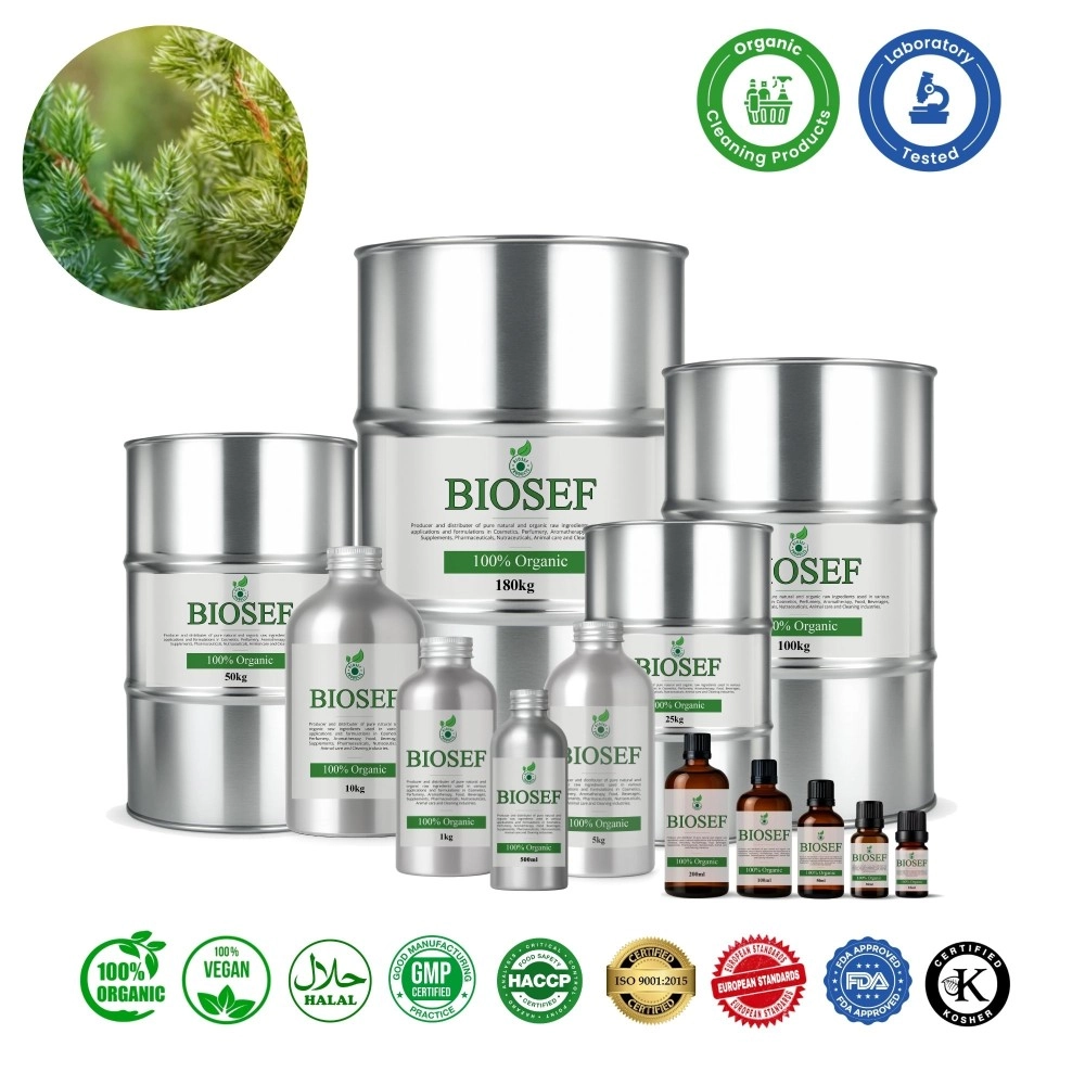 Enebro ( agujas ) orgánico aceite esencial para detergentes | Biosef