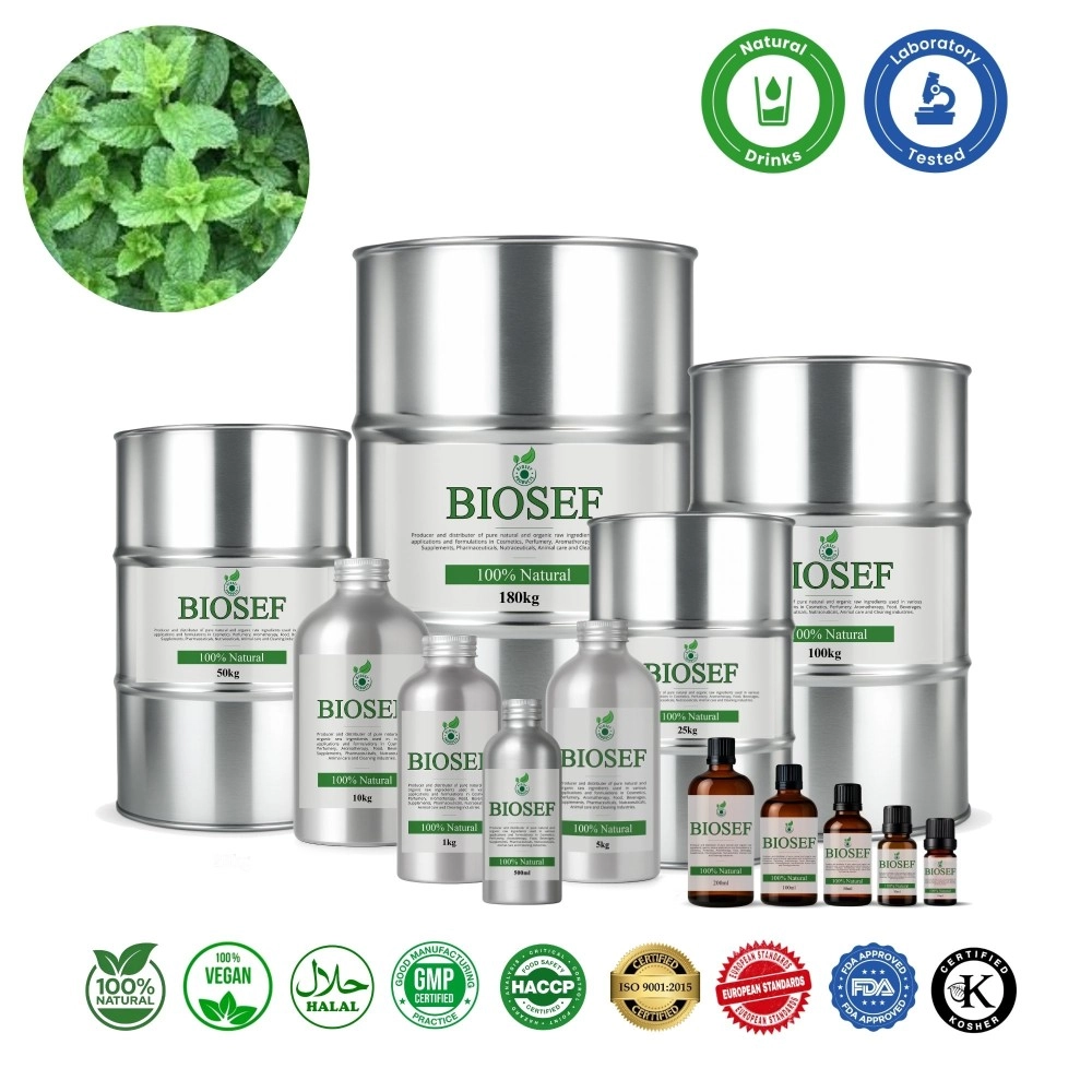Mentha spicata natural essential oil for drinks | Biosef
