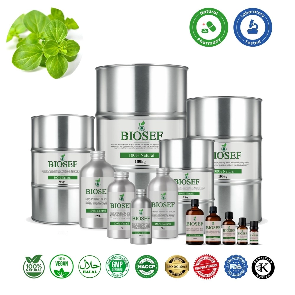 Oregano natürliches ätherisches öl für pharmazeutisch | Biosef