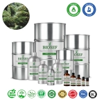 Silver fir organic essential oil for aromatherapy