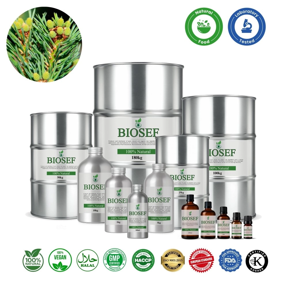 White pine natural essential oil for foods | Biosef