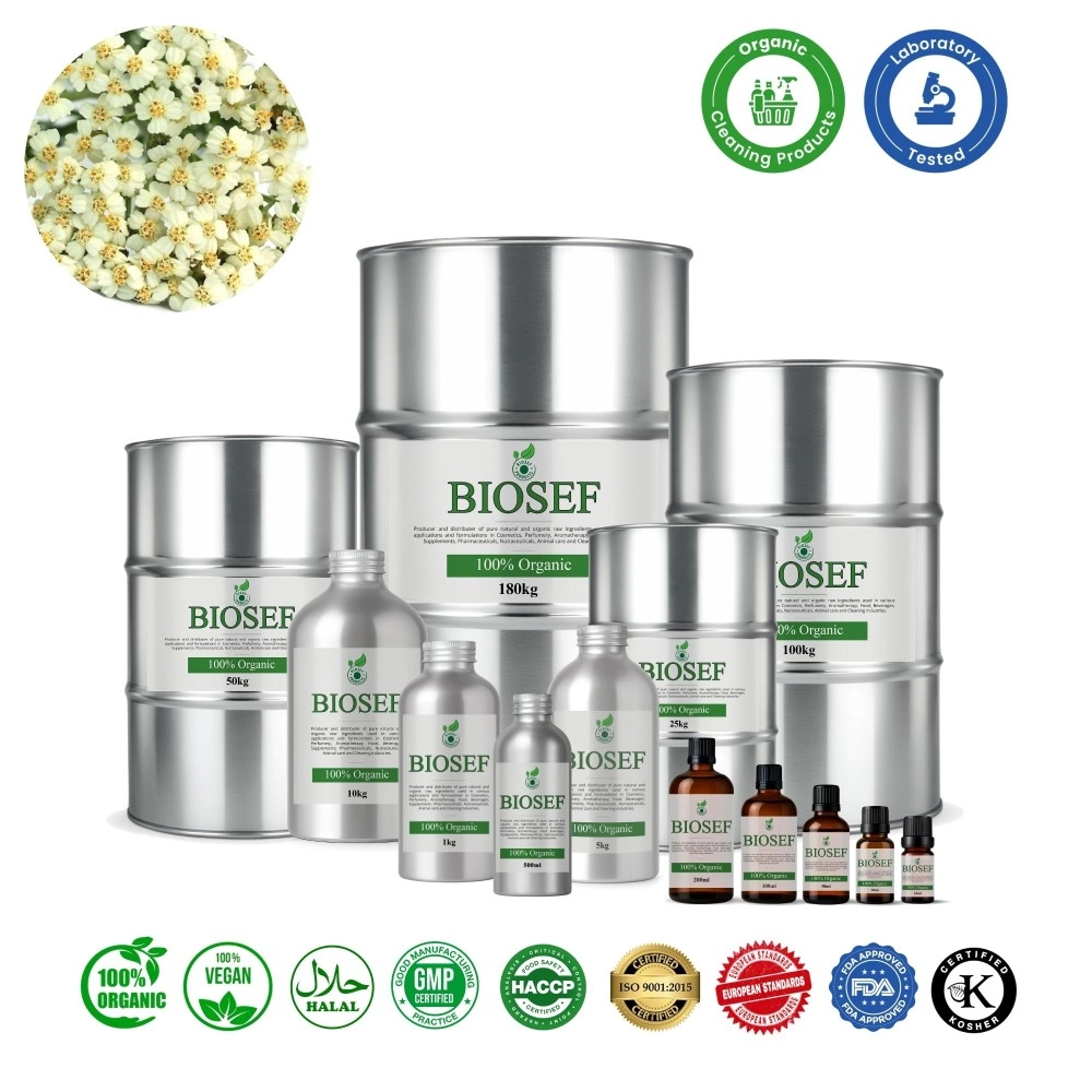 Achillée Millefeuille bio huile essentielle pour détergents | Biosef