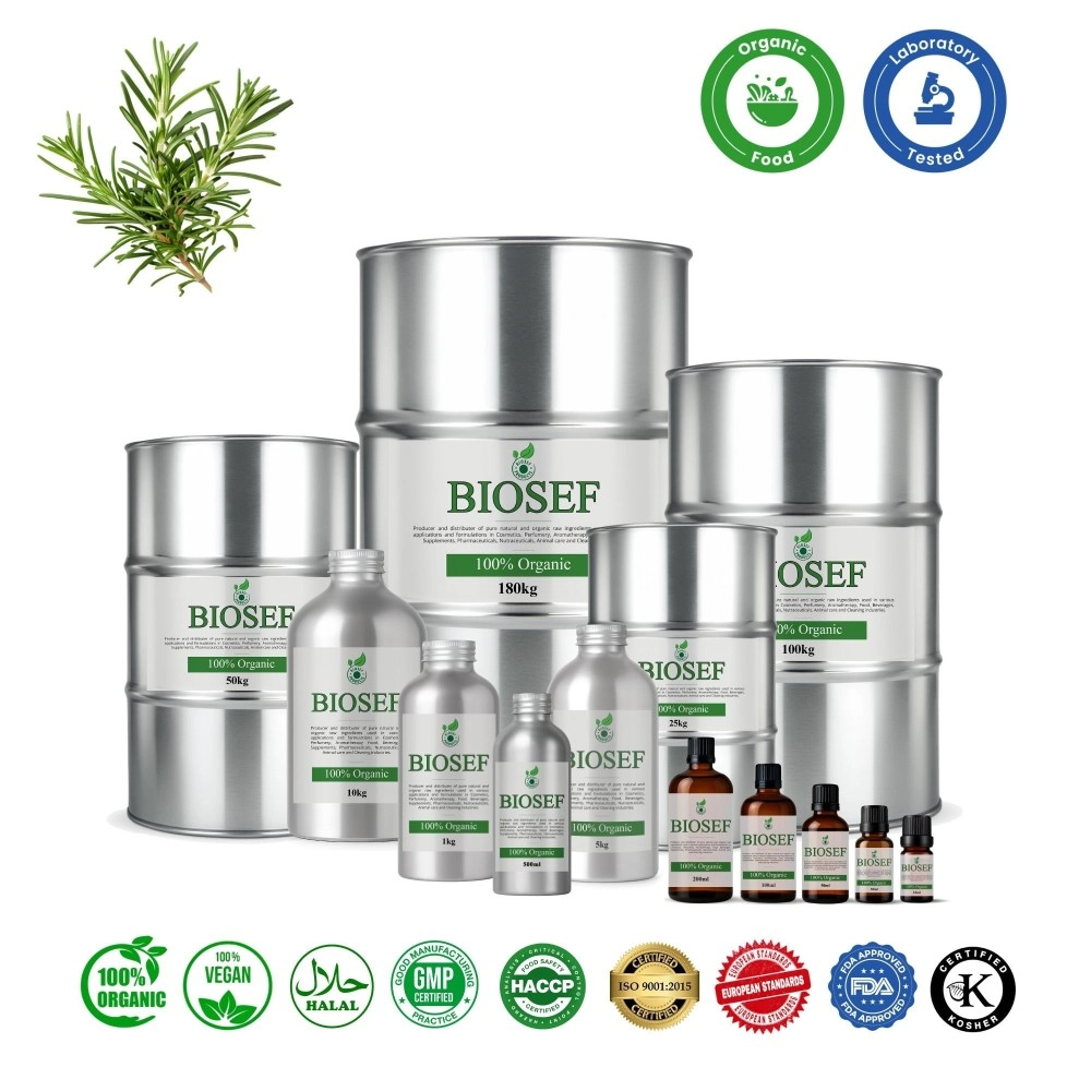 Romarin BIO CO2 total extrait pour aliments | Biosef