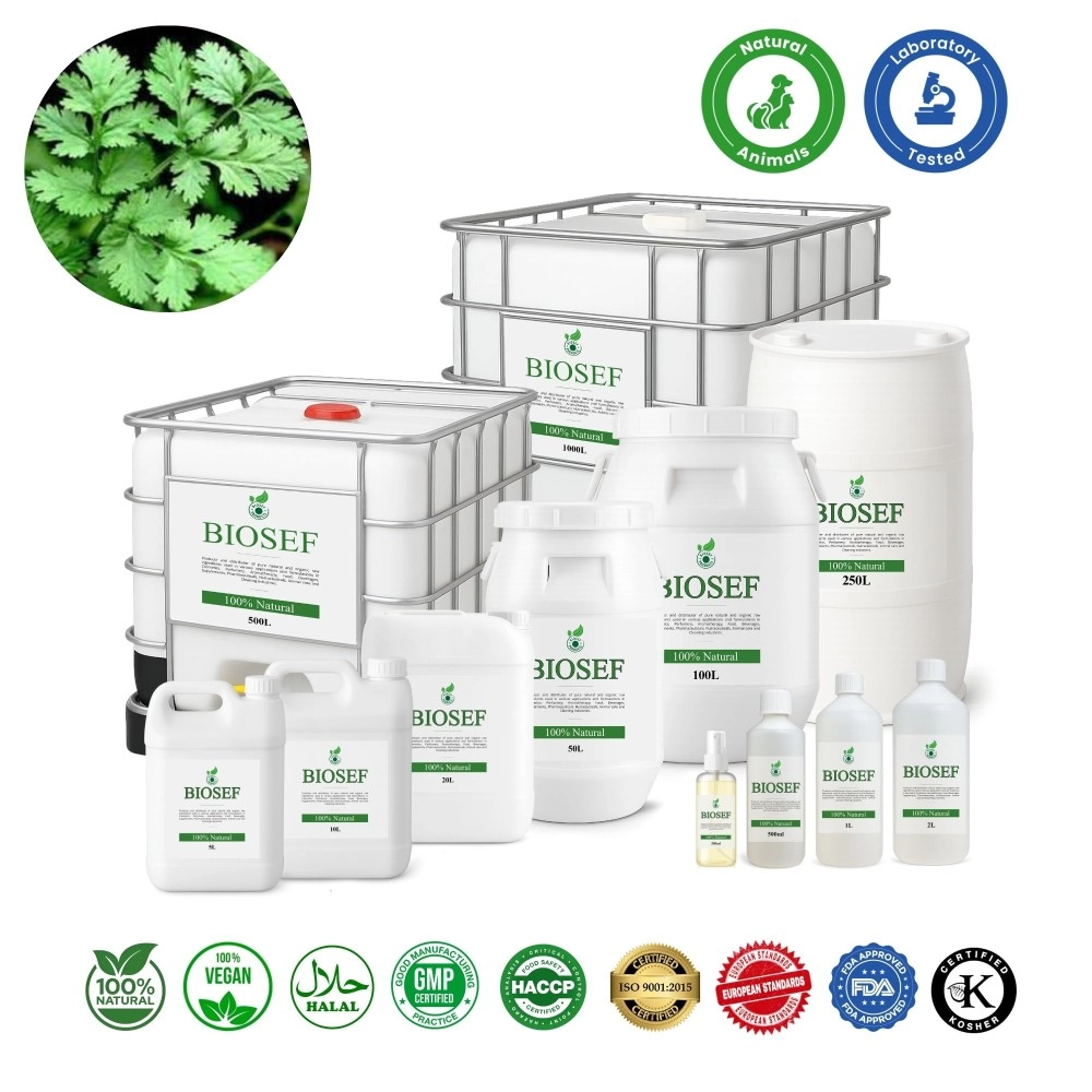 Coriandre ( feuilles ) naturel hydrolat pour animaux | Biosef.com