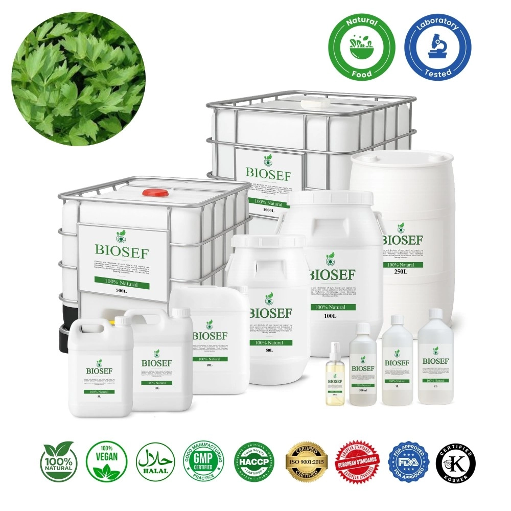 Liebstöckел ( Blätter ) natürlich Hydrolat für Lebensmittel | Biosef.com