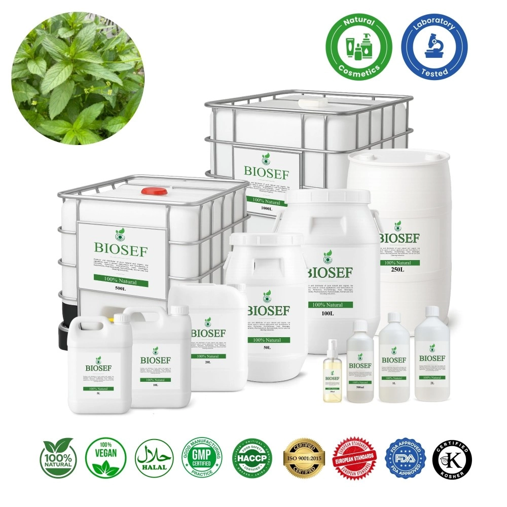 Menta piperita natural hidrolato para cosmética