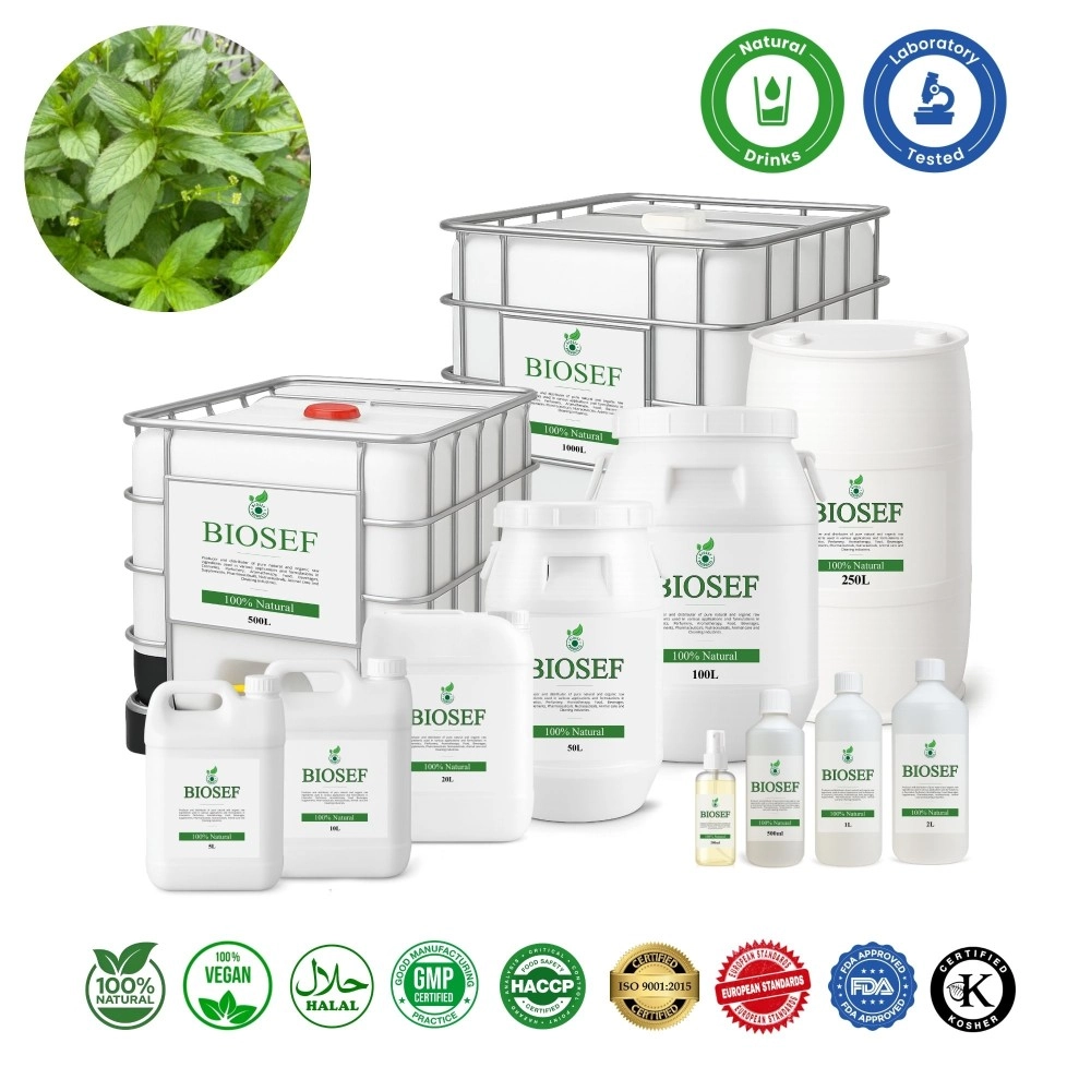 Mentha piperita natural hydrolate for drinks | Biosef