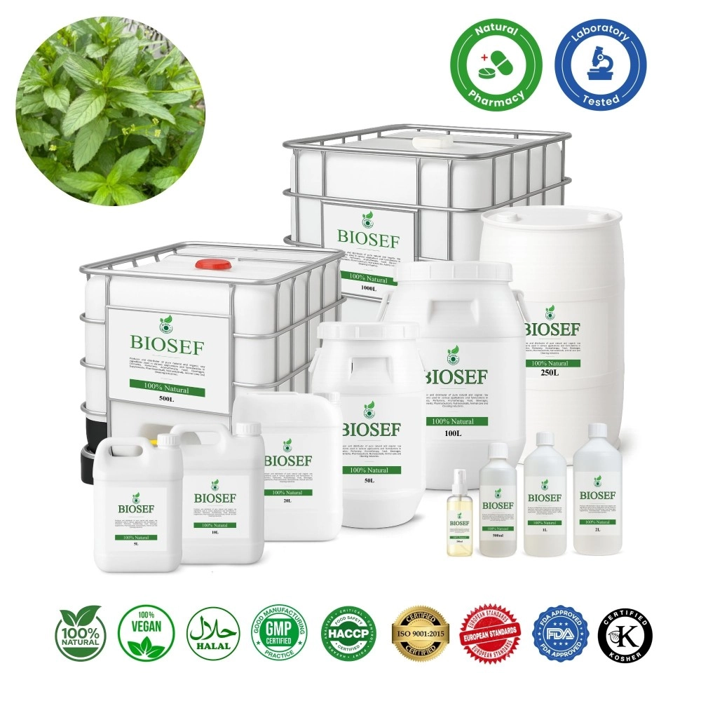 Minze piperita natürlich hydrolat für pharmazeutisch | Biosef