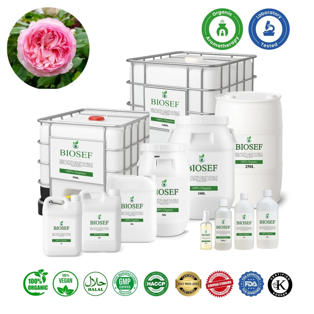Rose Centifolia bio hydrolat pour aromathérapie | Biosef