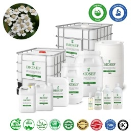 Achillée millefeuille bio hydrolat pour aliments